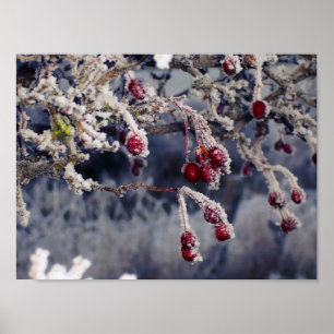 Mattierter Beerendruck Poster
