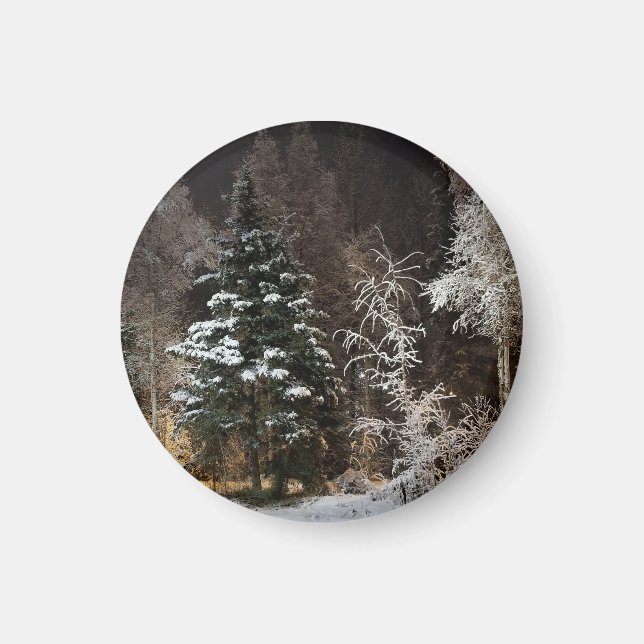 Mattiertes Schwarzwald-Nachtmagnet Magnet (Vorne)