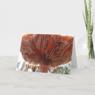 Mattiertes Shroom, alles Gute zum Geburtstag Karte