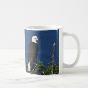 Mature Bald Eagle auf Tannenbaum Tasse
