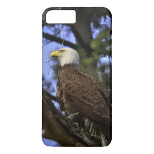 Mature Bald Eagle Case-Mate iPhone Hülle