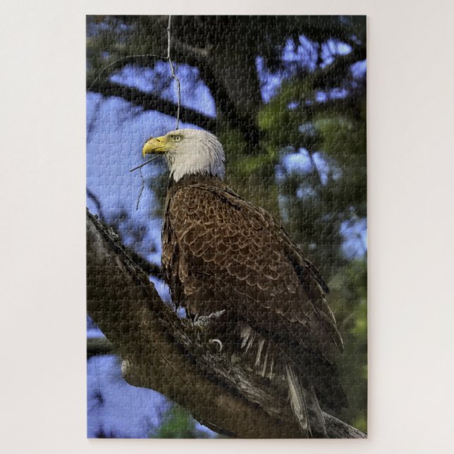Mature Bald Eagle Jigsaw Puzzle (Vertikal)