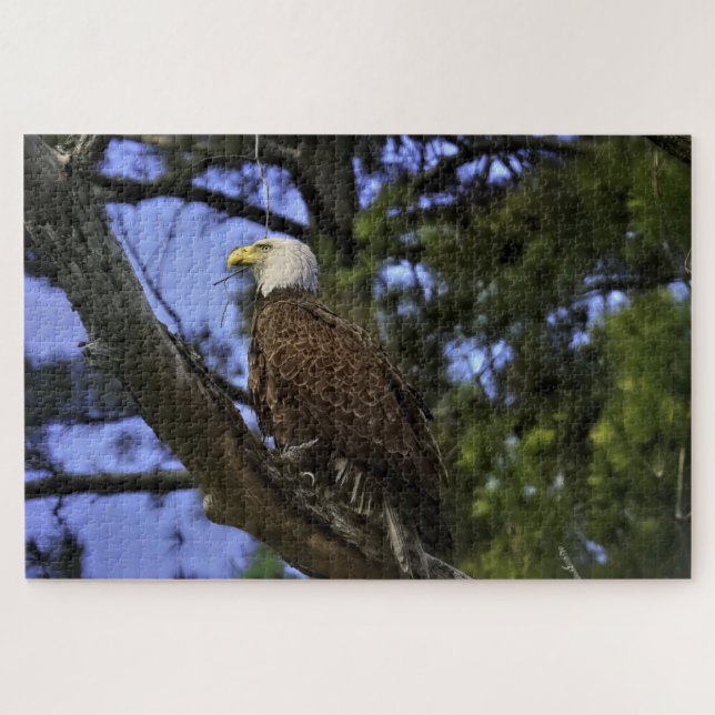 Mature Bald Eagle Puzzle (Horizontal)