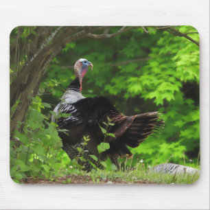 Mature Male Wild Türkei Mousepad