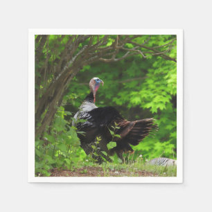 Mature Male Wild Turkey - Erntedank Serviette