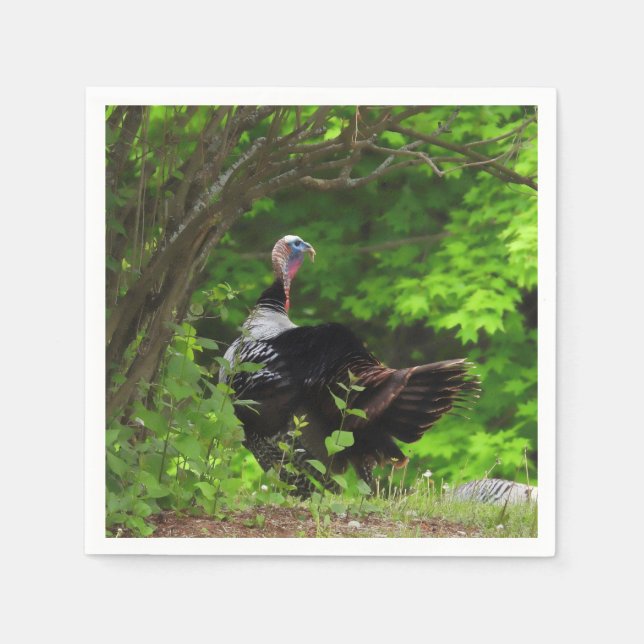 Mature Male Wild Turkey - Erntedank Serviette (Vorderseite)