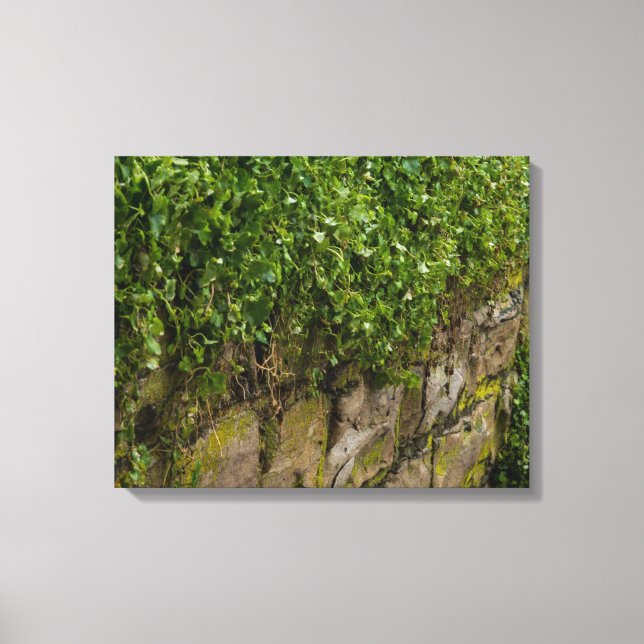 Mauer Leinwanddruck (Vorderseite)