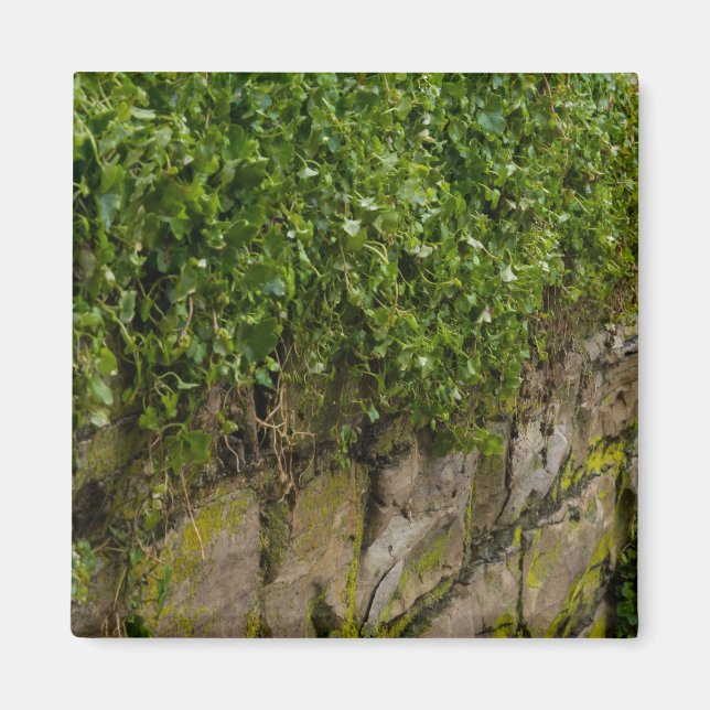 Mauer Magnet (Vorne)