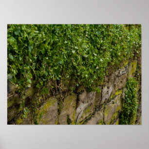 Mauer Poster