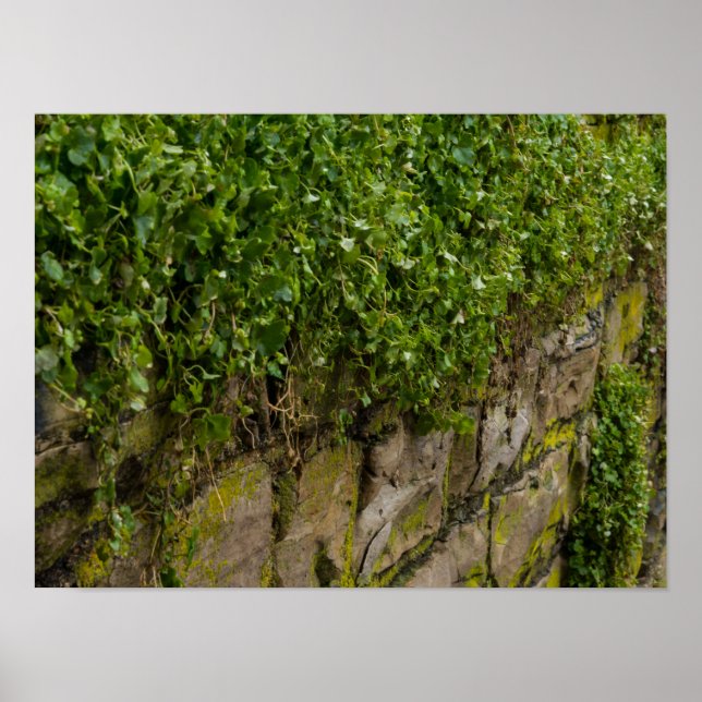 Mauer Poster (Vorne)