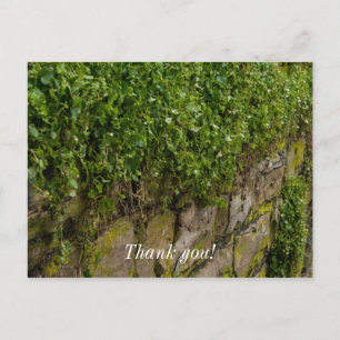 Mauer Postkarte