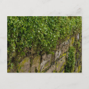 Mauer Postkarte