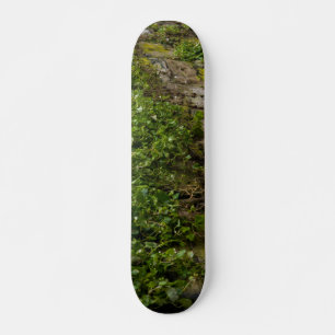 Mauer Skateboard