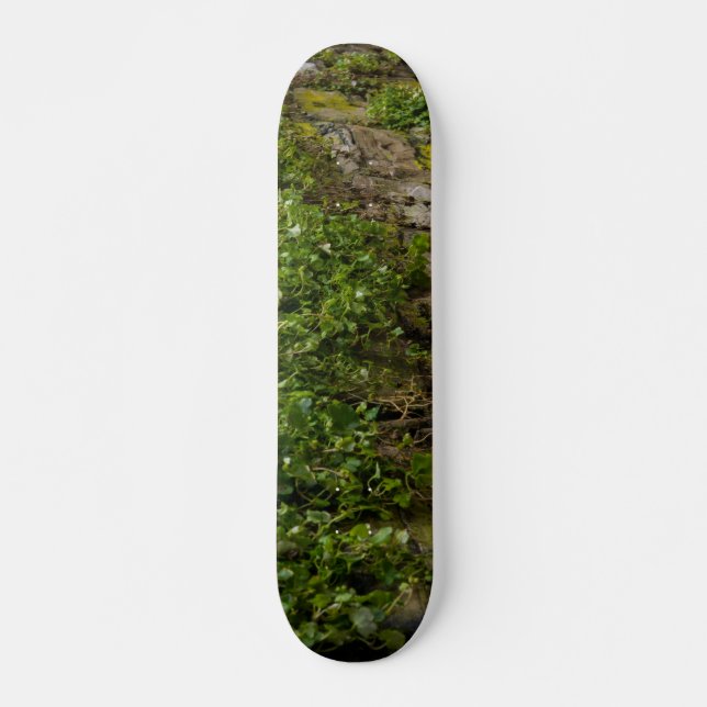 Mauer Skateboard (Vorne)