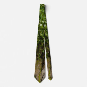 Mauer von Ivy Neck Tie Krawatte