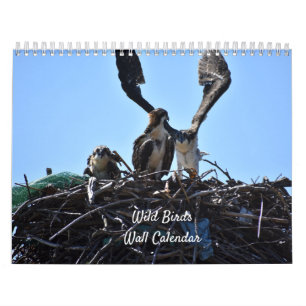 Mauerkalender für wild lebende Vogelarten Kalender