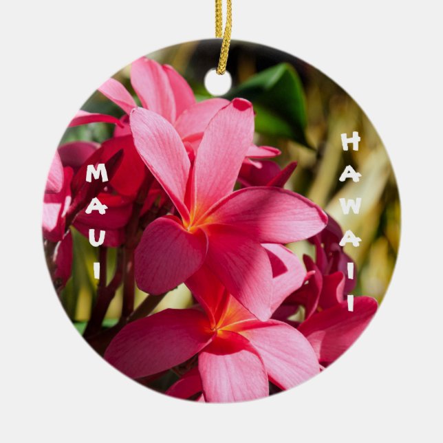 Maui, Blume Plumeria in Rosa und Weiß Keramik Ornament (Vorne)