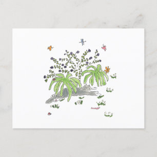 Maui-Felle unter einem Busch Ankündigungspostkarte