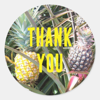 Maui Hawaii Ananas Danke Runder Aufkleber