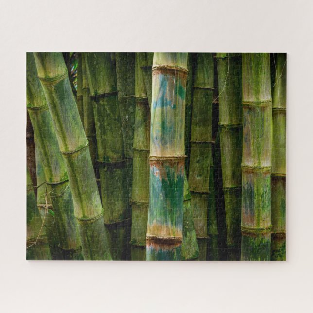 Maui, Hawaii, Bamboo Stalks Art Puzzle (Horizontal)