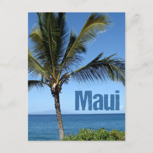 Maui Hawaii Beautiful Ocean Palm Tree Postkarte