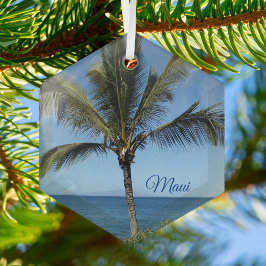 Maui Hawaii Island Fotografy Hübsch Palm Tree Ornament Aus Glas