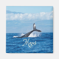 Maui Hawaii Ocean Whale Schwanz