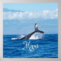 Maui Hawaii Ocean Whale Schwanz