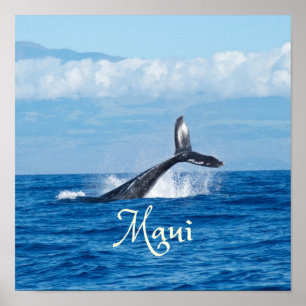 Maui Hawaii Ocean Whale Schwanz Poster