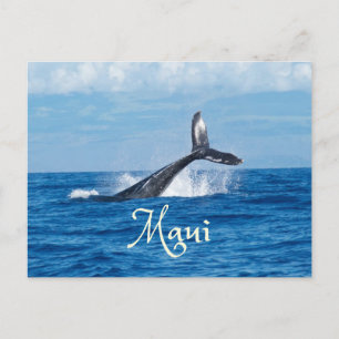 Maui Hawaii Ocean Whale Schwanz Postkarte