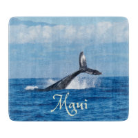 Maui Hawaii Ocean Whale Schwanz