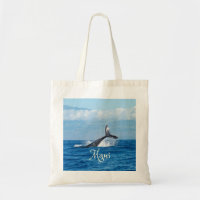 Maui Hawaii Ocean Whale Schwanz