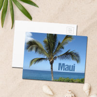 Maui Hawaii Palm Tree Landschaftlich