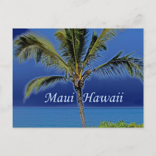Maui Hawaii Palmenbaum Ozean Postkarte
