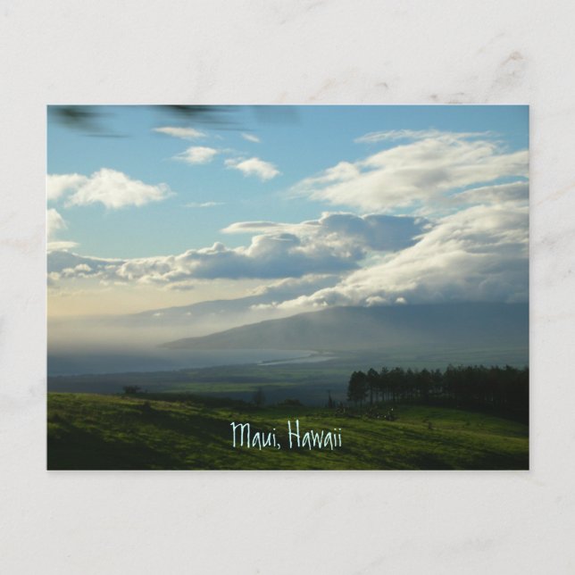 Maui, Hawaii Postkarte (Vorderseite)