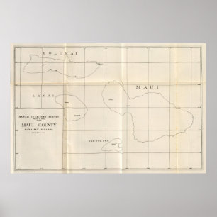 Maui Landkreis, Hawaii Poster