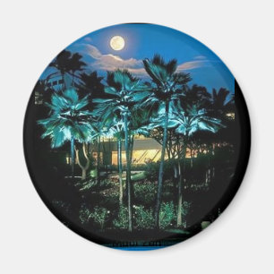 Maui perfekt magnet