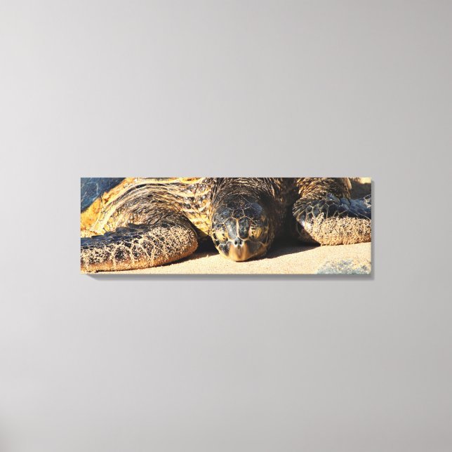 Maui Sea Turtle Canvas Print Leinwanddruck (Vorderseite)