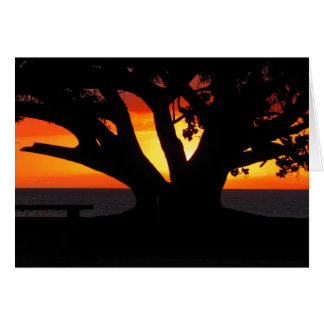 Maui Sonnenuntergang