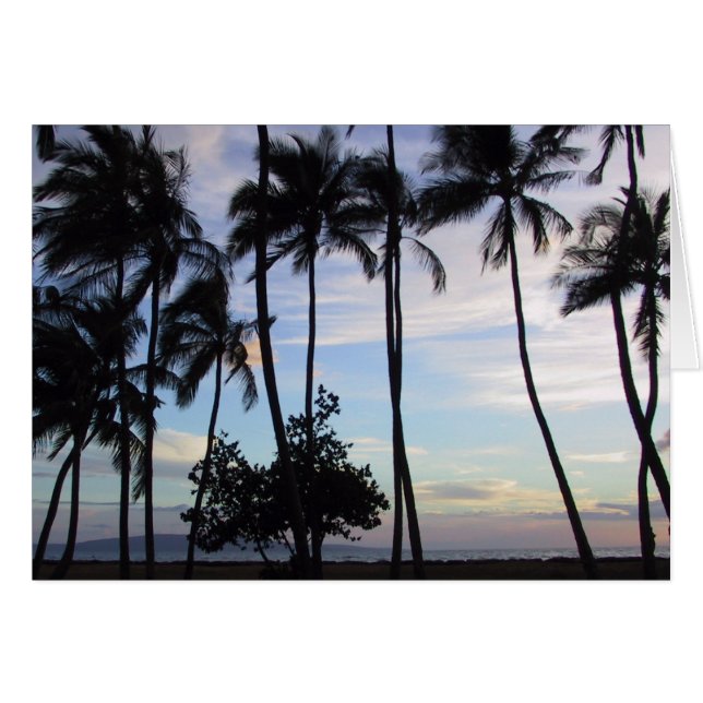 Maui Sunset 1 (Vorderseite (Horizontal))