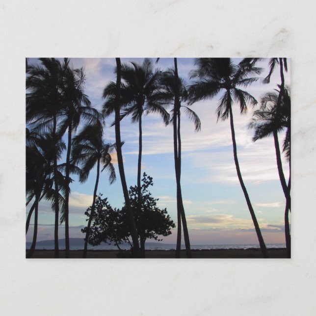 Maui Sunset 1 Postkarte (Vorderseite)