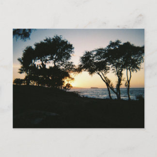 Maui Sunset Postkarte