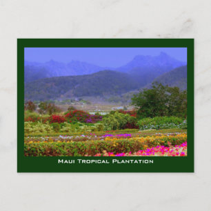 Maui Tropical Plantation West Maui Mountains Postkarte