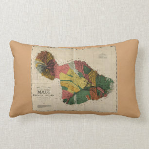 Maui - Vintage antike Hawaii Survey Map, 1885 Lendenkissen