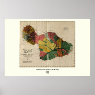 Maui - Vintage antiquarische Hawaii Survey Map, 18 Poster