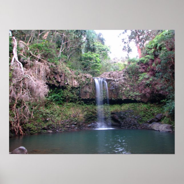 Maui Waterfall Poster (Vorne)