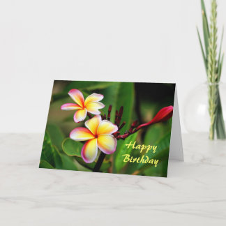 Mauiplumeria-Blumen, Geburtstag Karte