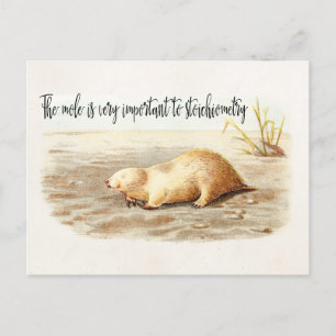 Maulstöchiometrie Chemie Zitat Wissenschaft Humor Postkarte