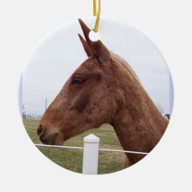 Maultier-Gezeiten-Verzierung Keramikornament (Vorne)