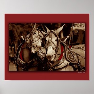 Maultier sprechen poster